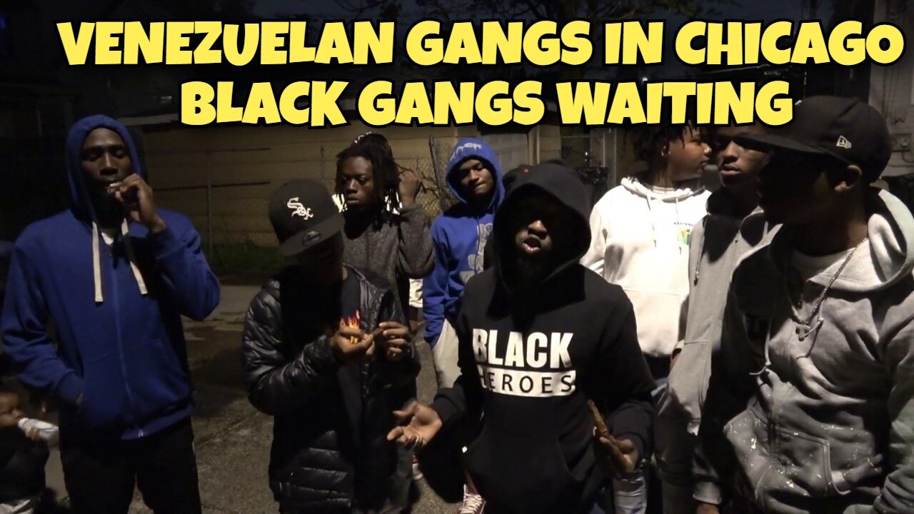 VENEZUELAN GANGS IN CHICAGO WAR ABOUT TO HAPPEN BLACK GANGS WAITING