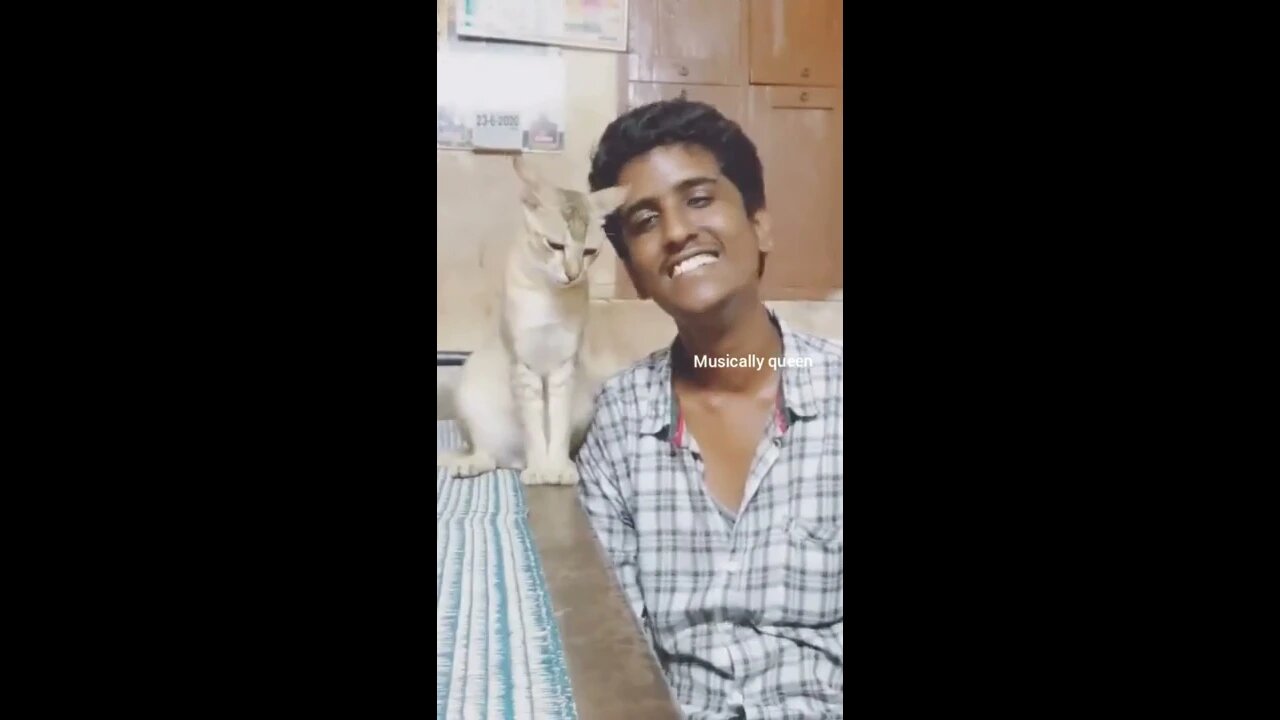 Tamil | Tik Tok | Fun with animals