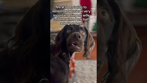 I’m sure it’s fine. #wife #husband #marriage