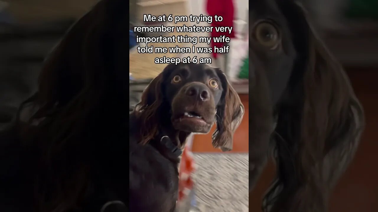 I’m sure it’s fine. #wife #husband #marriage