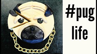 Copycat Recipes #Puglife Cake - Pugs are Awesome - CAKE STYLECooking Recipes Food Recipes Health.txt