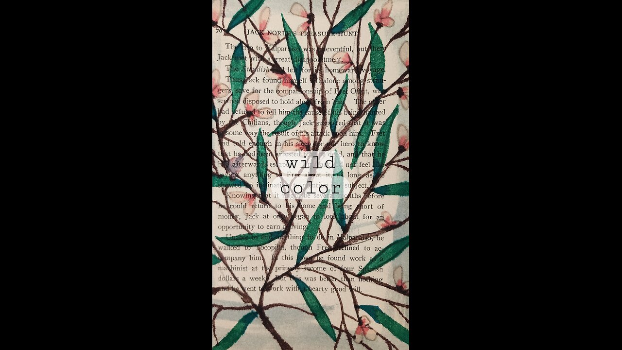 Wild Color
