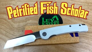 Petrified Fish PFE04 Scholar front flipper ! A great new model with a hollow grind !