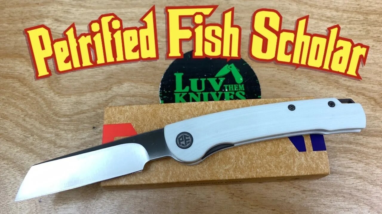 Petrified Fish PFE04 Scholar front flipper ! A great new model with a hollow grind !