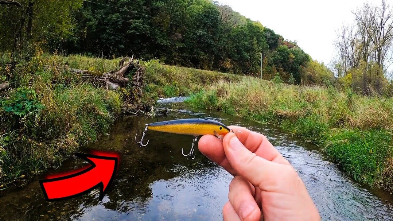 Creek Fishing for Wild Browns with a Rapala