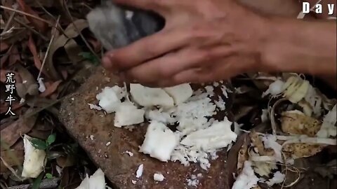 The boy wandered in the wild for 12 days, showing amazing wild survival skills9