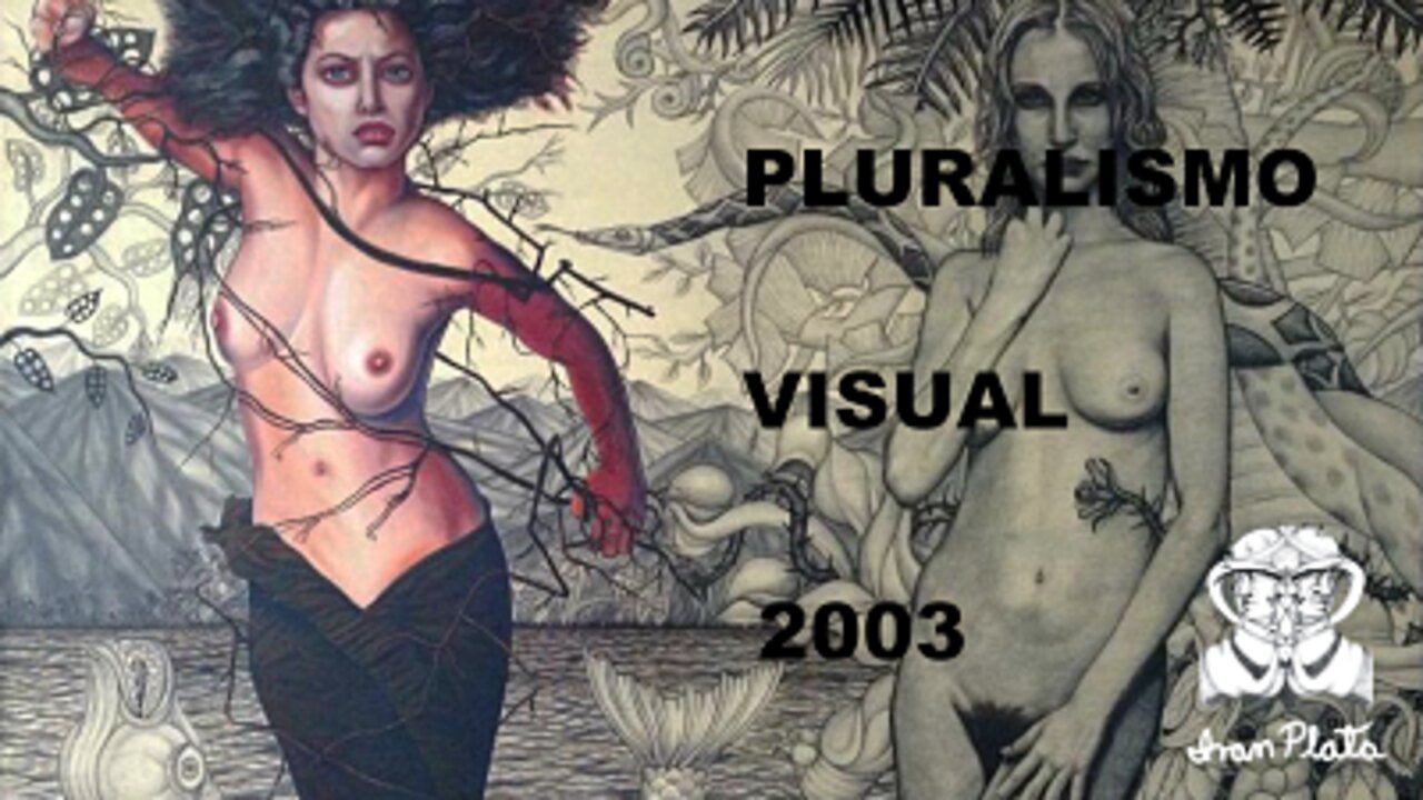 2003 « Pluralismo visual »