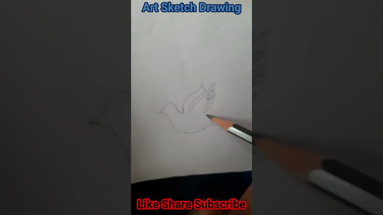 Bird Pencil Drawing Step by Step Shorts-1 l Bird Pencil Drawing Easy #shortsvideos #birddrawing