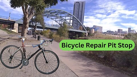 Bicycle Pit Stop Denver Colorado 10/26/2024 - Bosque Mobile Bicycle Repair