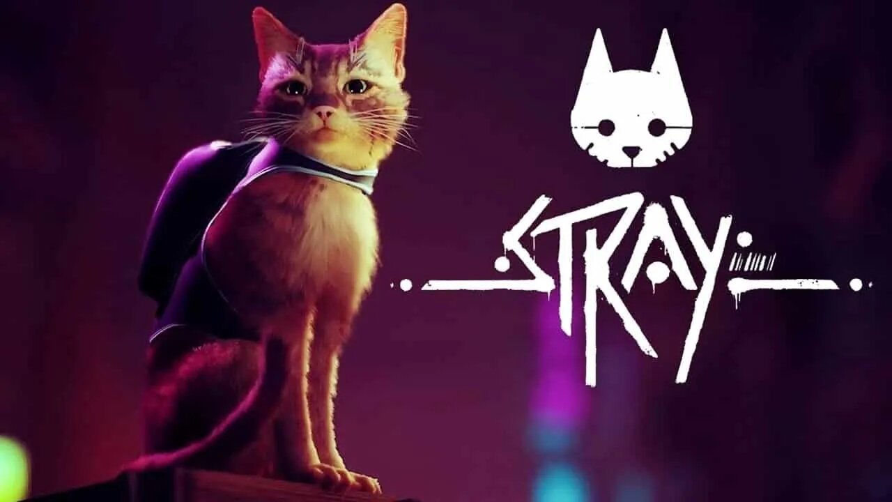 Stray O Final de Gameplay, em Português PT BR 4K 60FPS Sem Comentários