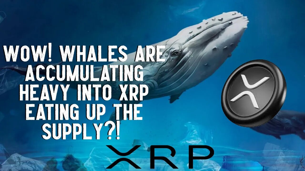 WOW! Whales Are Accumulating HEAVY Into XRP EATING Up The SUPPLY?!