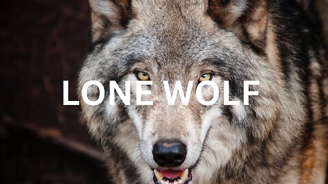 Lone Wolf - A Motivational Video for Those Fighting Battles Alone