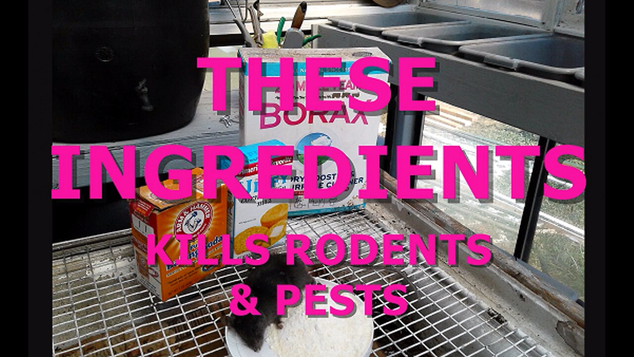 THESE INGREDIENTS KILL RODENTS & PESTS