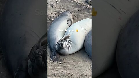 Best plan 😂 #shorts