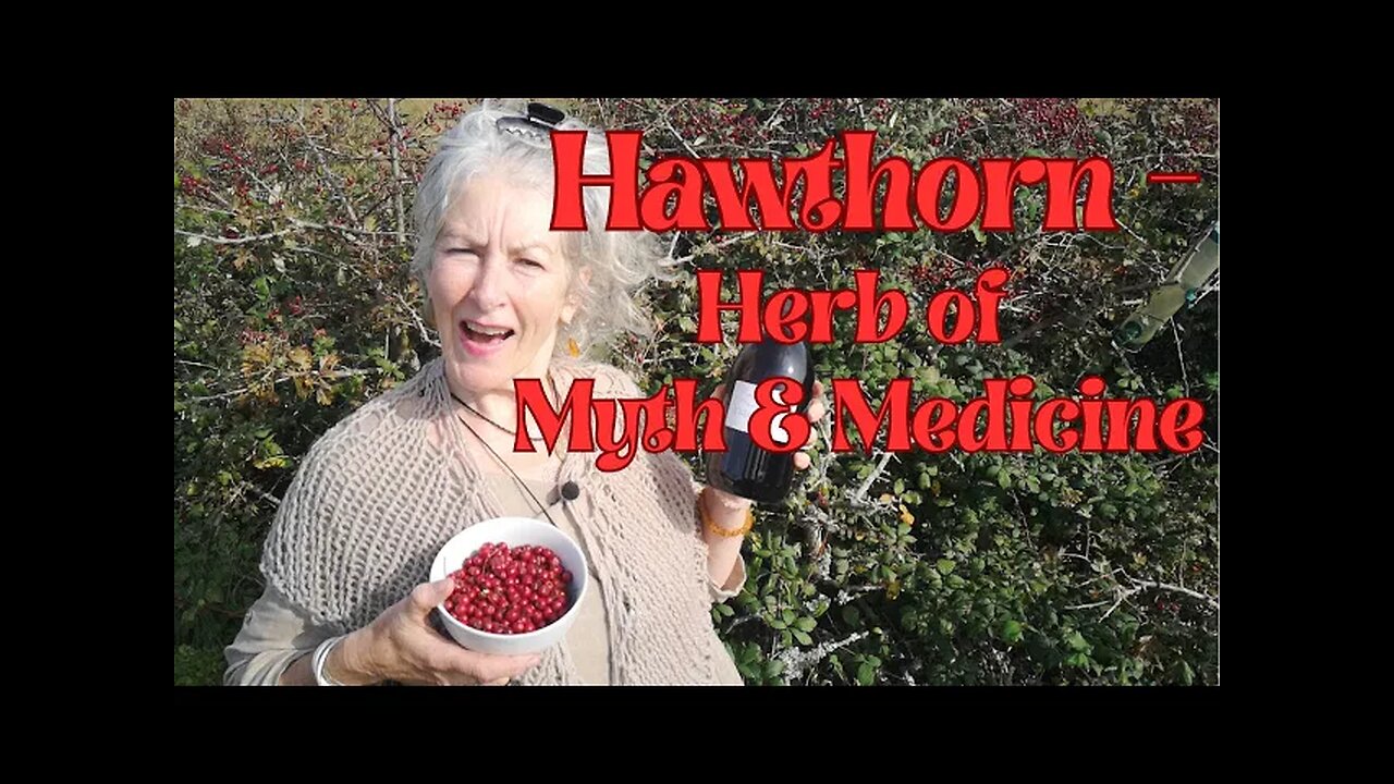 Hawthorn - Herb of Myth and Medicine