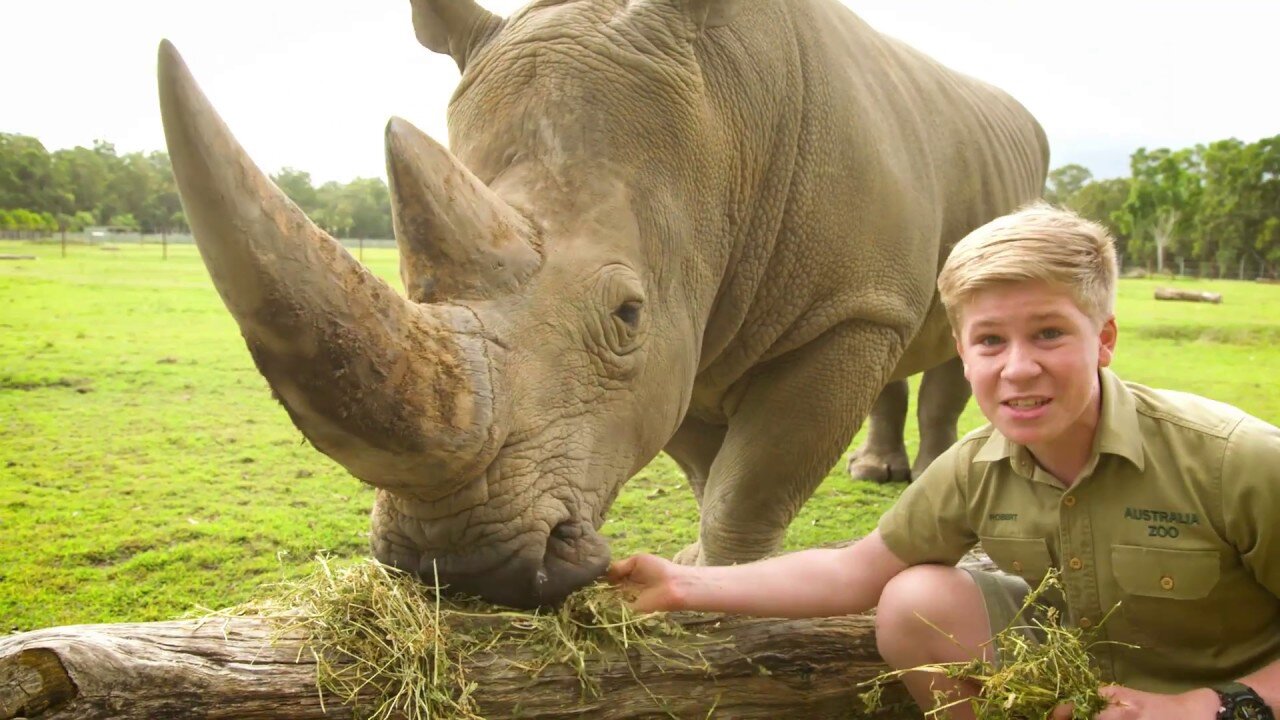 Day in the Life at the World’s BEST Zoo