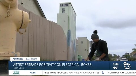 Mira Mesa artist combats tagging by painting electrical boxes