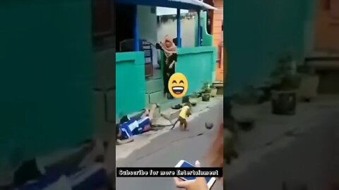 monkey Bikr Rider #reaction #youtubeshorts #shorts