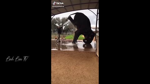 Funny moments of the year
