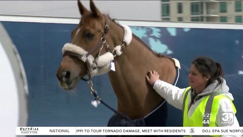 Horses arrive in Omaha for international FEI World Cup Finals