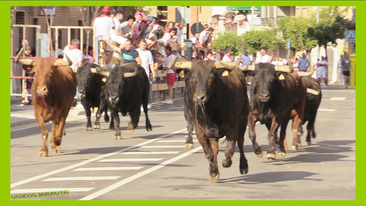 RIBAFORADA(NAVARRA)TARDE ENCIERRO DEL BARRANCO Y TOROS EN PLAZA(SABADO 26 AGOSTO 2023)G.HNOS.GRACIA