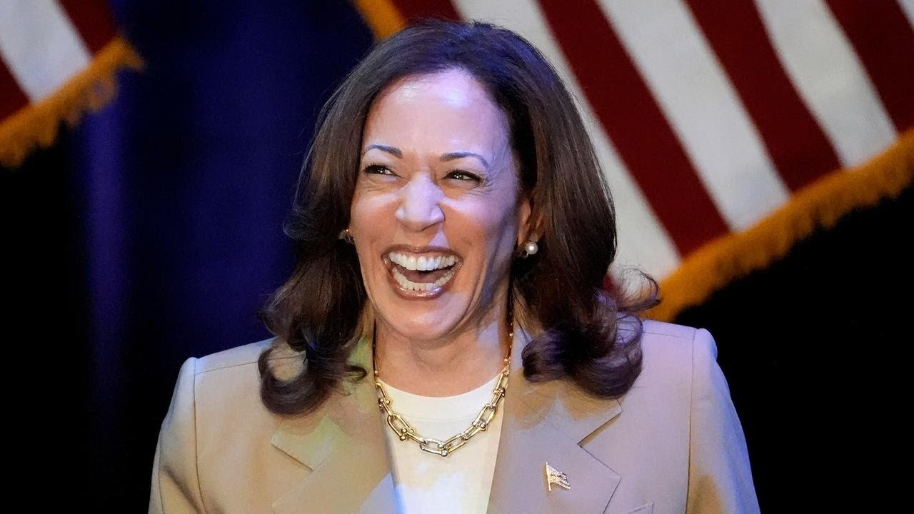 Harris gets Democratic delegates needed for nomination in DNC roll call vote| RN