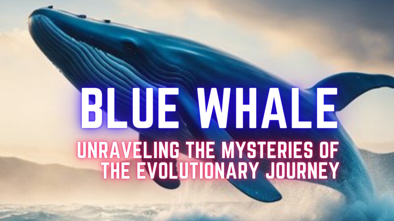 Blue Whale: Unraveling the Mysteries of the Evolutionary Journey