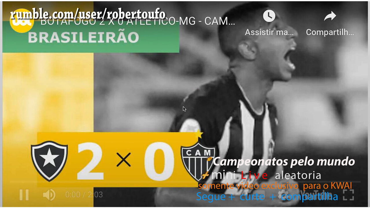 campeonato Brasileiro 2023 BOTAFOGO 2 X 0 ATLETCO-MG - rodada 4