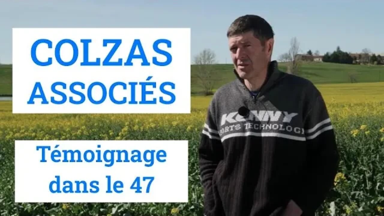 COLZA ASSOCIE - Témoignage d'un agriculteur du 47 @CA17TV