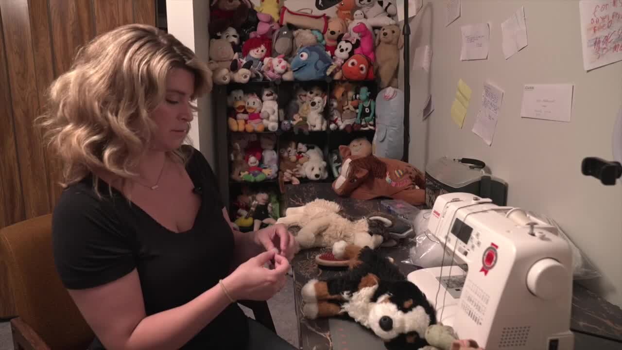 How a TikTok video and a stuffed dog named Max gave a Spring Arbor woman a new career