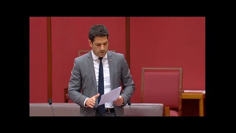 Adjournment Speech 1 December 2020 - BLM Movement