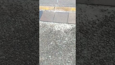 They know they're being filmed, & are trying to hide. #gangstalking