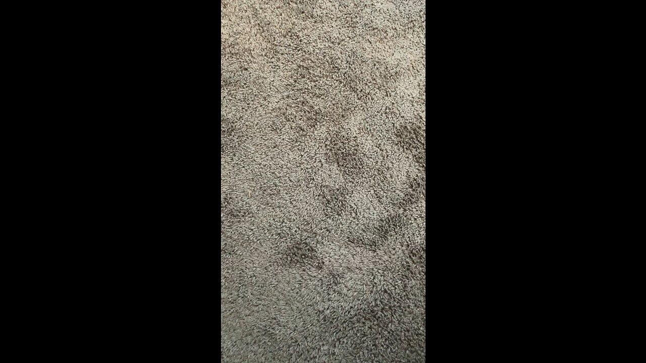 tre