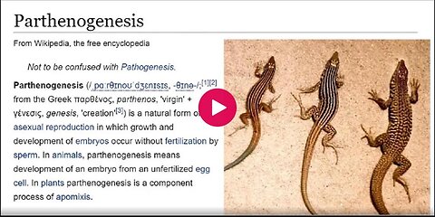 PARTHENOGENESIS MICHELLE 2