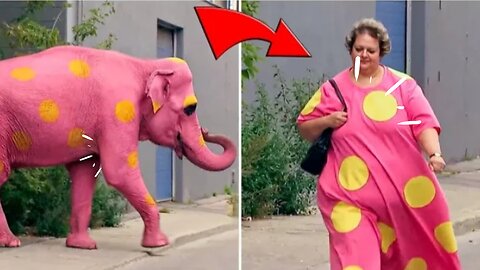 Pink Elephant prank//🤣 Best prank compilation