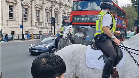 Police horse gets spooked when the kings walks towards him #horseguardsparade