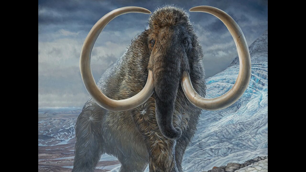 "Is the Woolly Mammoth Making a Comeback ?"