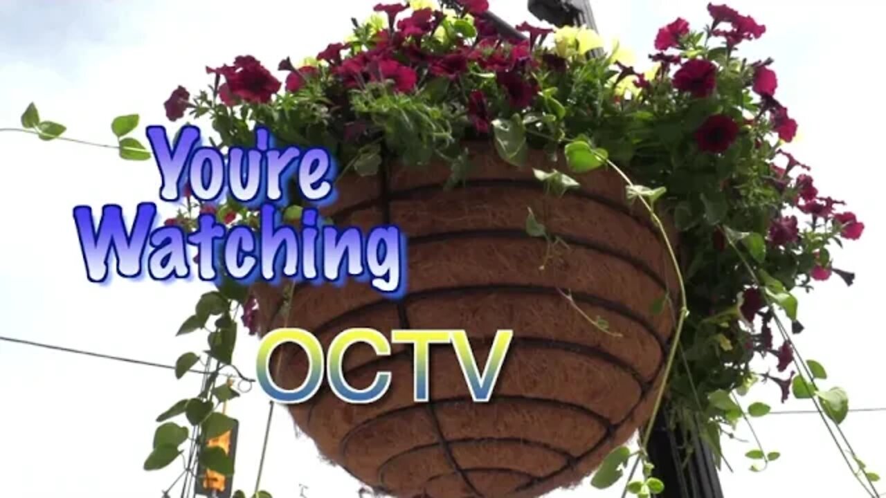 Park & Rec Senior Softball 6-15-22