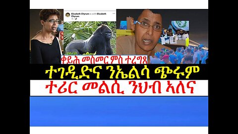 TMA ትግርኛ ሚድያ ኣከለጉዛይ፡ዘይስገር መጠንቀቕታ ንኤልሳ ጭሩም