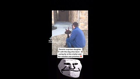 Parents suprises daughter with dog she’s been caring for at the shelter