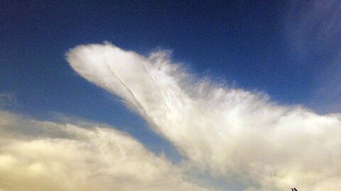 Crazy Cloud Cam | Image Set 181