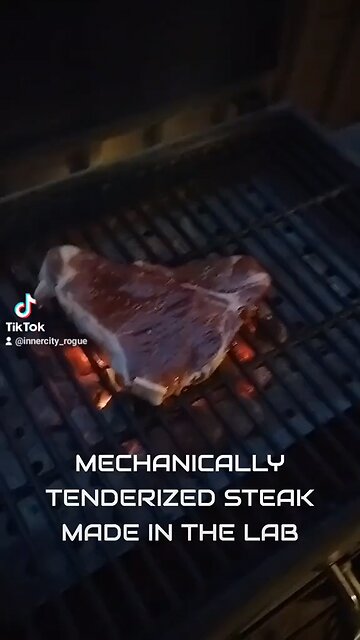 THE NEW BILL GATES HUMAN LAB MEAT!