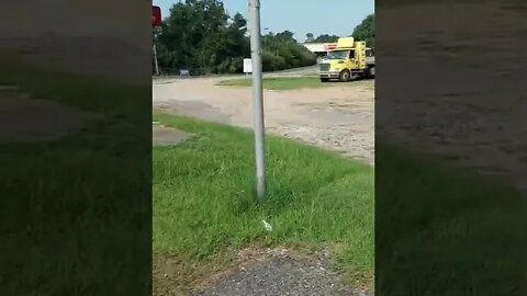 #gangstalking perp walk 09/08/2022 Pt. 2