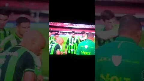 vídeos shorts do Kawai #shorts