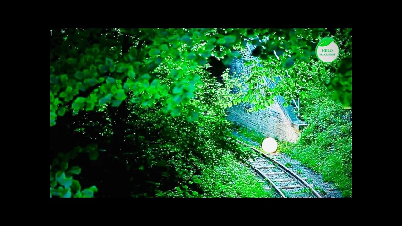 Beautiful Music 🎶 in the woods🪵 by the Railway 🚃 Tracks