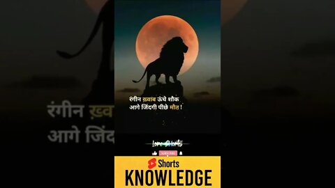 Motivational Quotes Intresting Facts lifestyle & research #shorts #ytshorts #knowledge #motivation