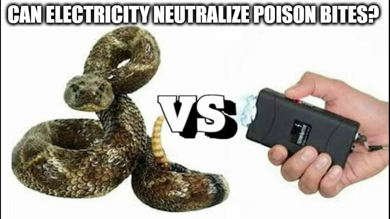 (Re-Post) Why Is It Not Common Knowledge That Electric Shock Can Neutralize Poison Bites?