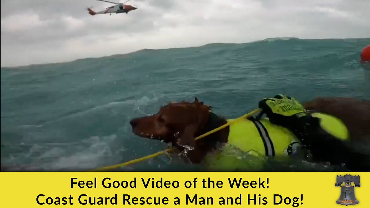 Feel Good Video of the Week! Coast Guard Rescue a Man and His Dog!