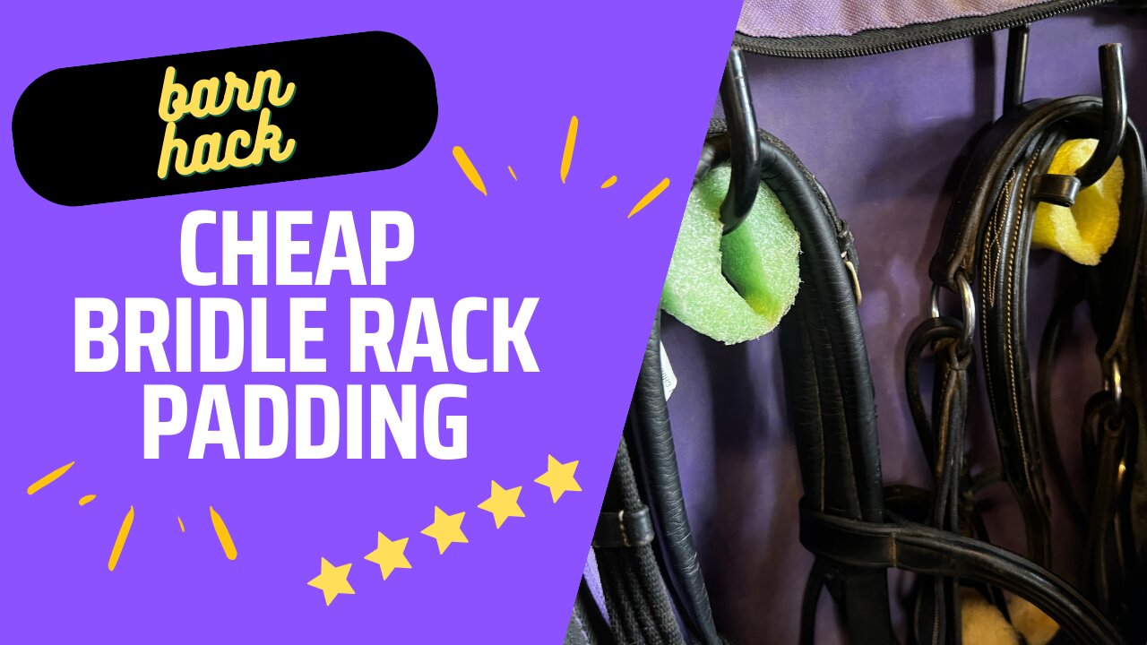 Cheap Bridle Rack Padding!