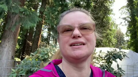 Let’s check on the Homestead in the garden in the afternoon